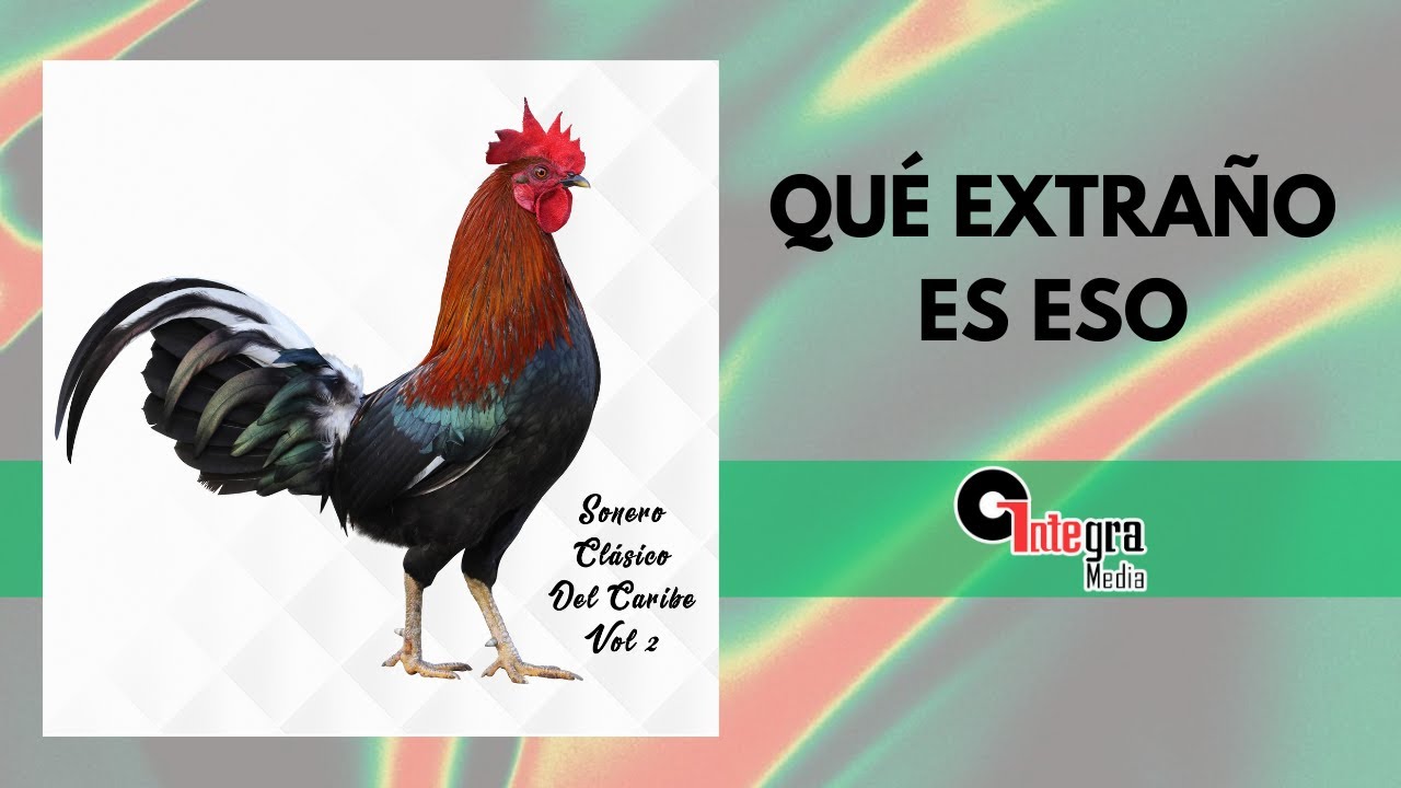 Qué Extraño Es Eso - Sonero Clásico Del Caribe | Salsa & Son | Video Letra