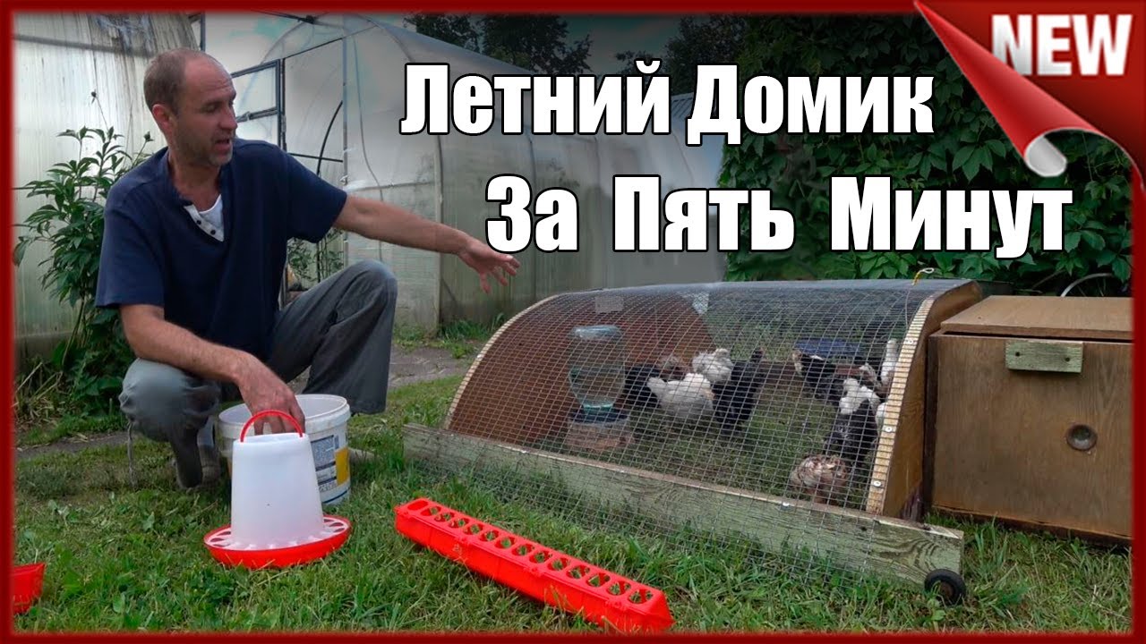 Куриный Трактор. Как сделать, летний переносной домик для цыплят ,своими руками.