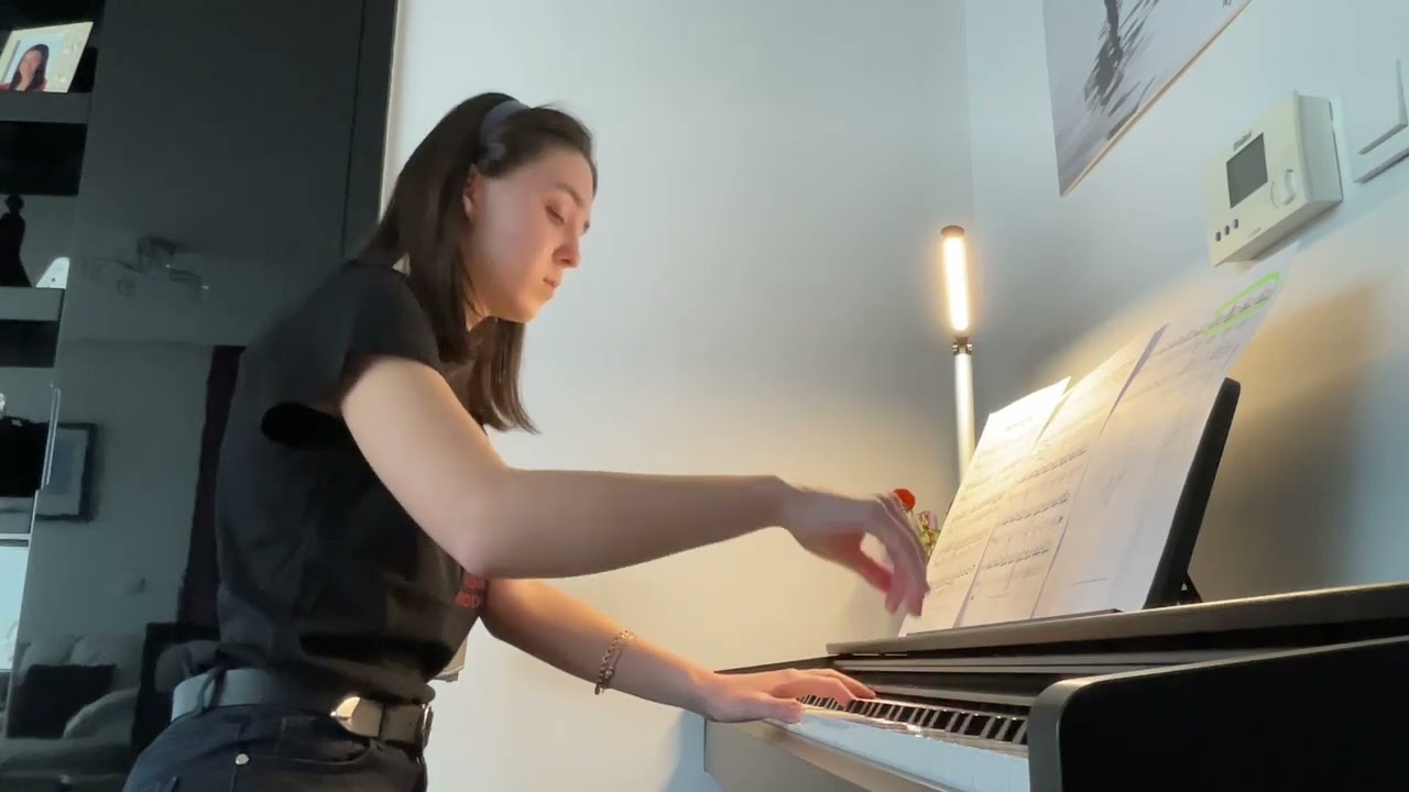 Elegy for the Arctic-Einaudi  Aylin Duman