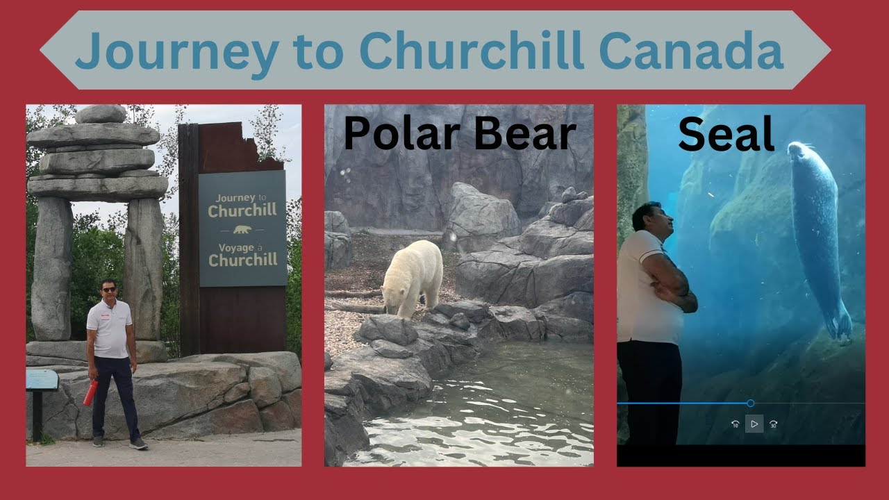Journey to Churchill Town Canada || Assiniboine Zoo|| Arctic Polar Bears Show|| Winnipeg Manitoba CA