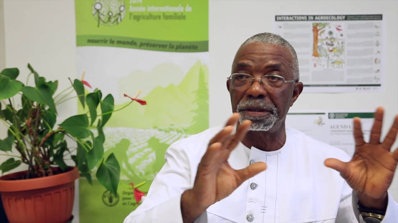 Interview with Godfrey Nzamujo (Songhai) at the Agroecology Symposium
