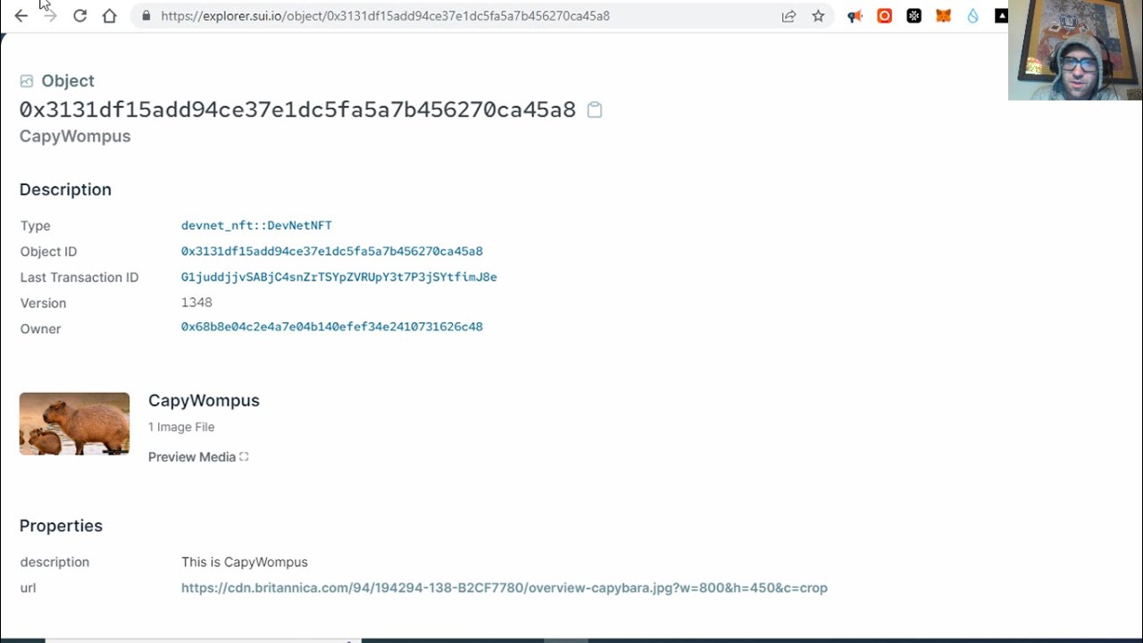 Создайте Sui NFT Mint DApp менее чем за 10 минут! 🤯
