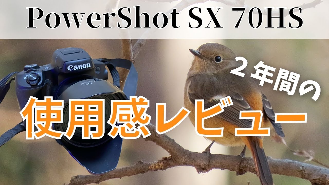 PowerShot SX70HSを徹底レビュー！２年間野鳥撮影に使い続けた結果...！【コンデジ野鳥撮影】