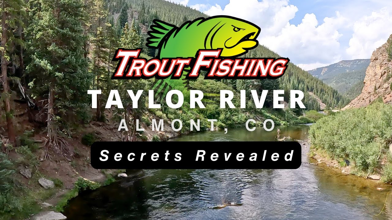 Taylor River Trout Fishing: Secrets Revealed