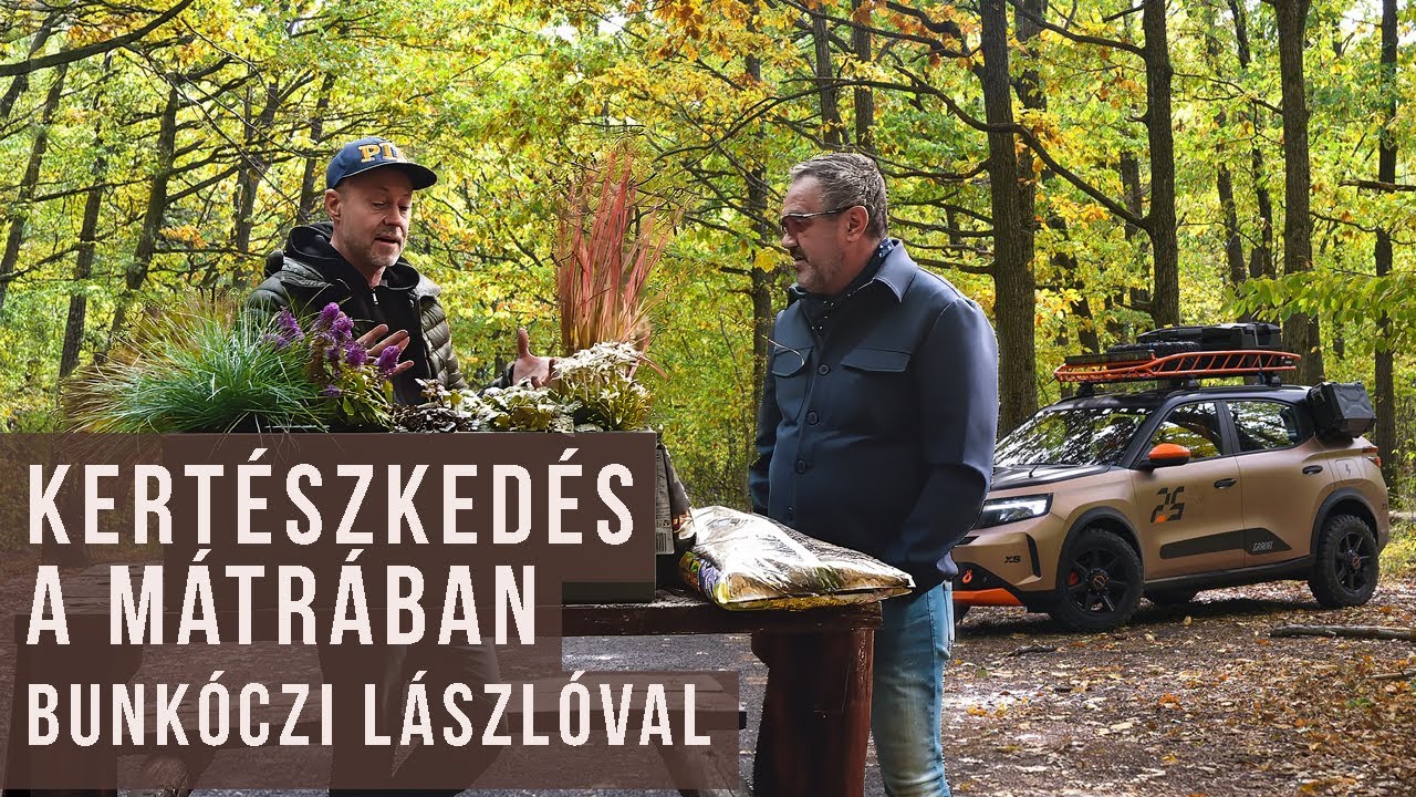 Baobab helyett Frontera - kerészkedés a Mátrában | kert TV