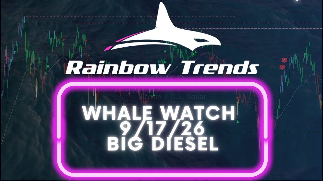 Weekly Whale Watch - 9.10.26