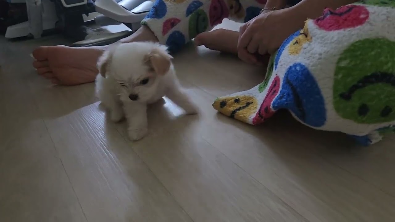 연지 언니 첫만남