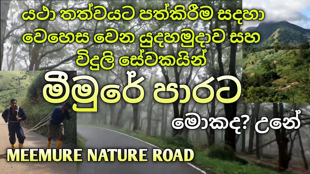 මීමුරේ පාරේ අද තත්වය 👉 Meemure Nature Road.