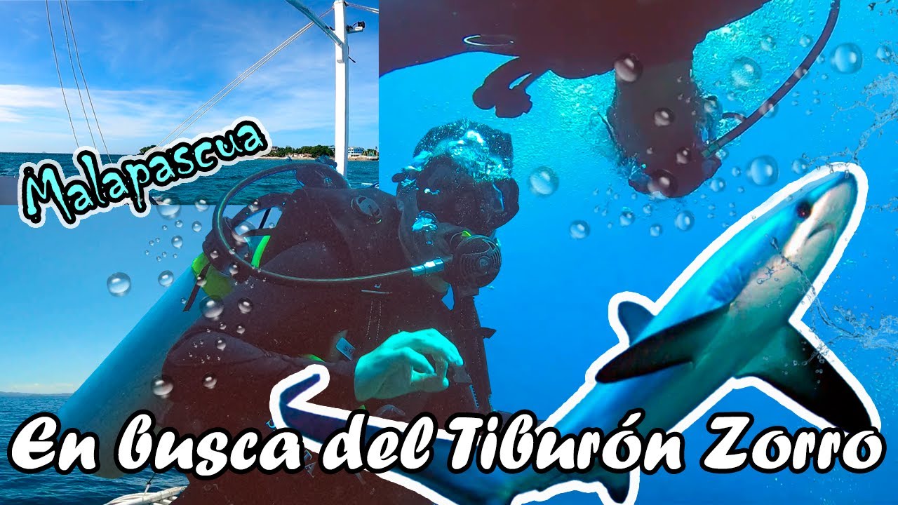 Esta DIMINUTA ISLA es el PARAISO del BUCEO, Malapascua, Filipinas 🇵🇭