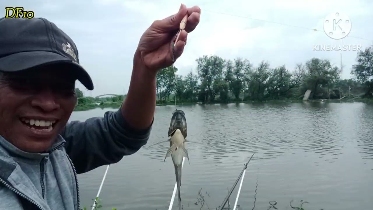 Mancing mujaer bonus bandeng 