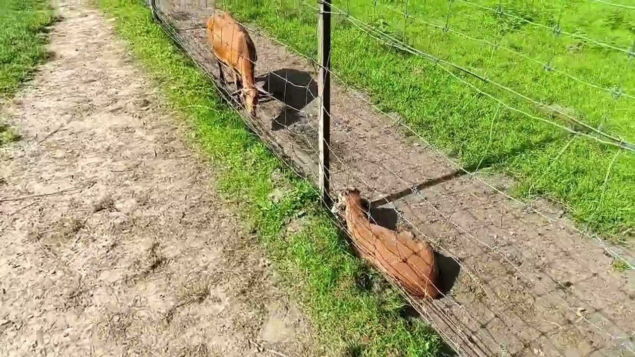 прогулка по Бад Зальцуфлену на велосипедах