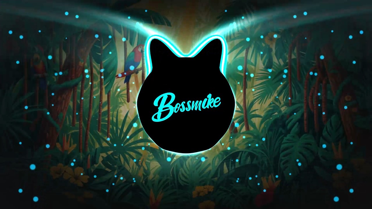 SBG REGGAE BASS REMIX ( BOSSMIKE BEATS REMIX )