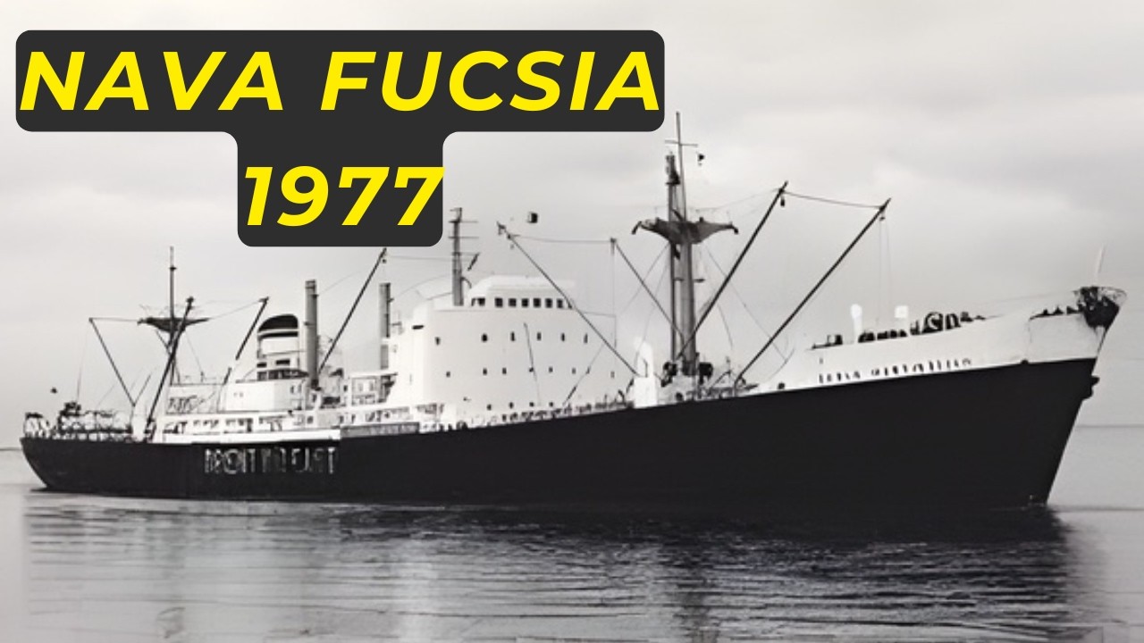 Nava Fucsia 1977 | EXPLOZIA din portul Constanta | Documentar Audio