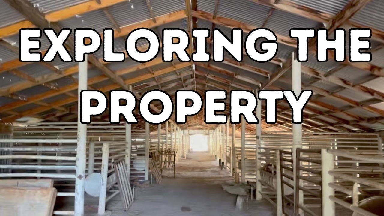 Exploring the Property