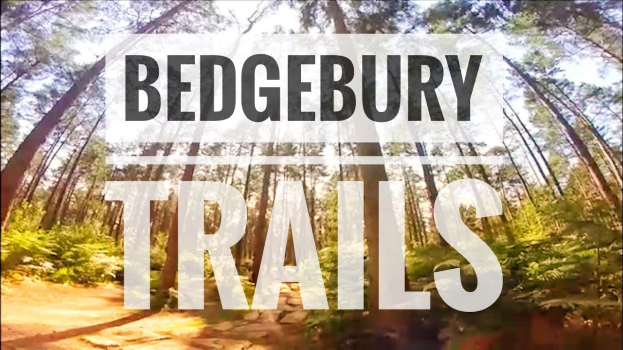 Bedgebury MTB Trails