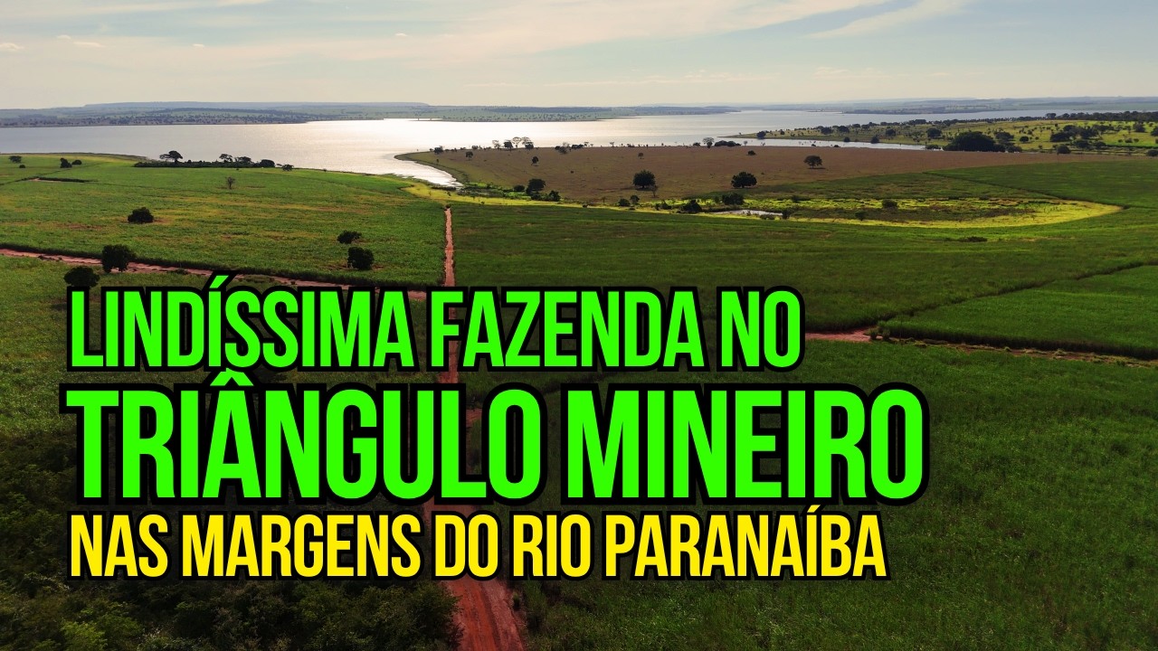 FAZENDA À VENDA NA BEIRA DO PARANAÍBA! TERRA RARA EM MINAS GERAIS!