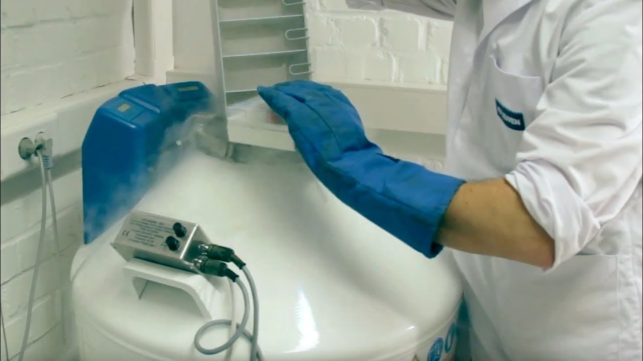 Cryopreservation –  Safeguarding crops for millennia