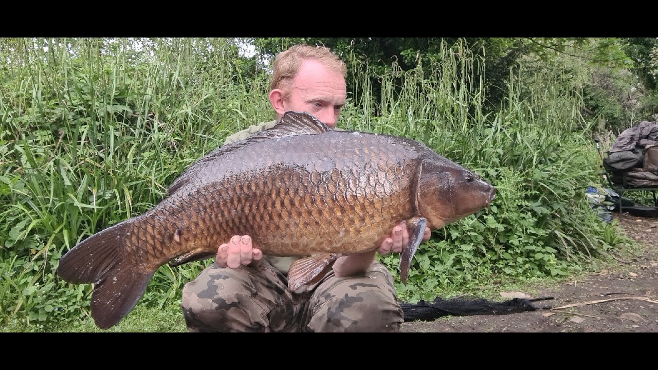 Steves Lake chasing a 30lber Part 2  - Darenth Fishing Complex