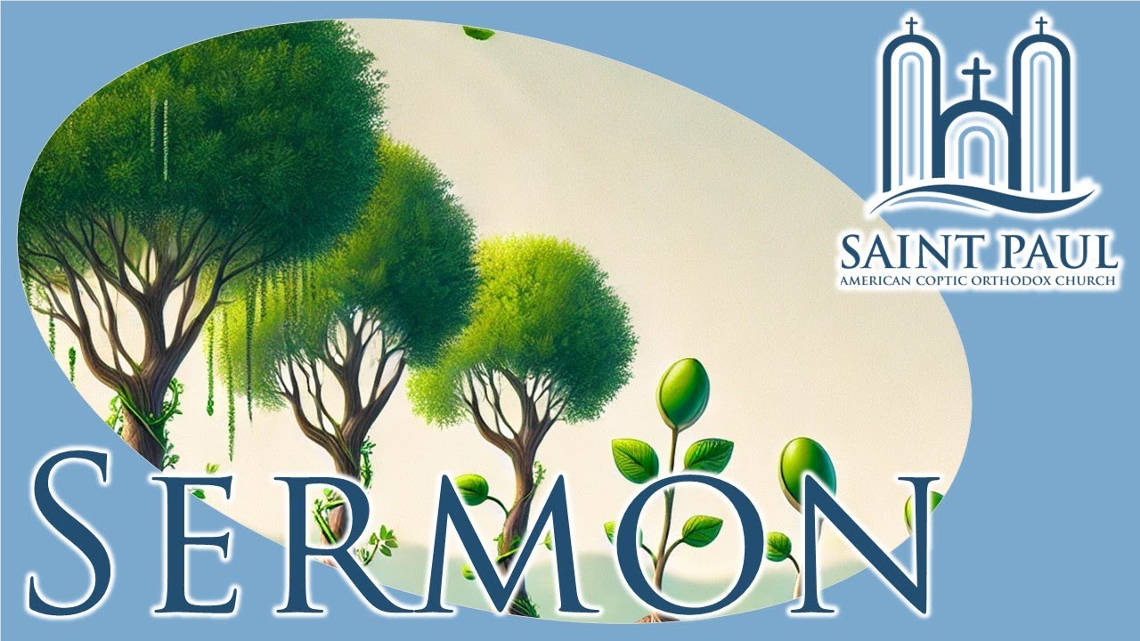 The Significance of Little Things | Sermon (Fr. Matthias Shehad)