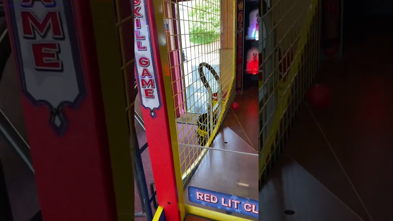 Fun in Felixstowe amusements