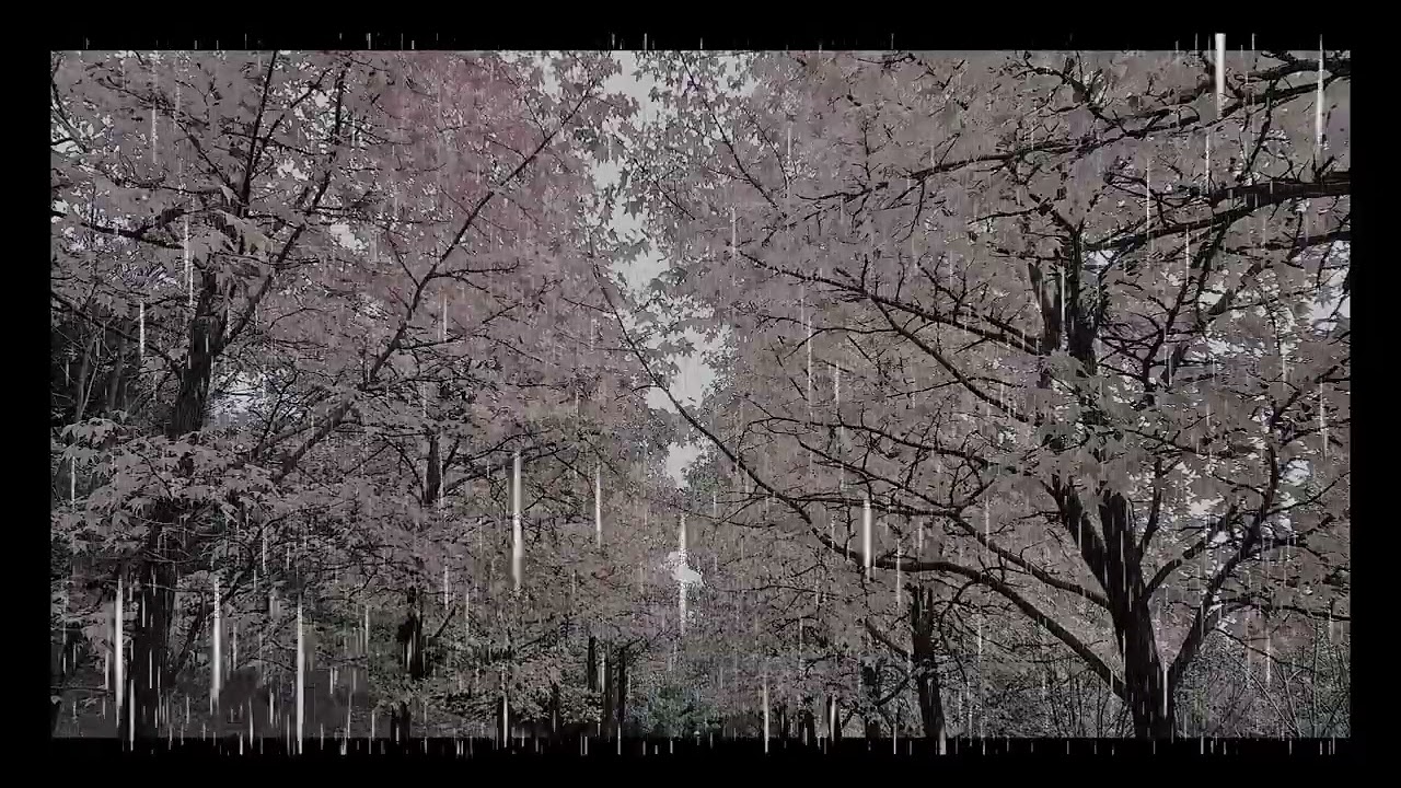 백색소음 빗소리   the sound of rain outside the window.