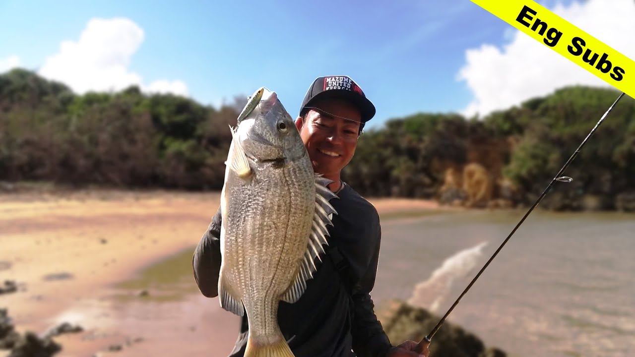 海チヌの釣り方2023 | How to Catch Black Bream
