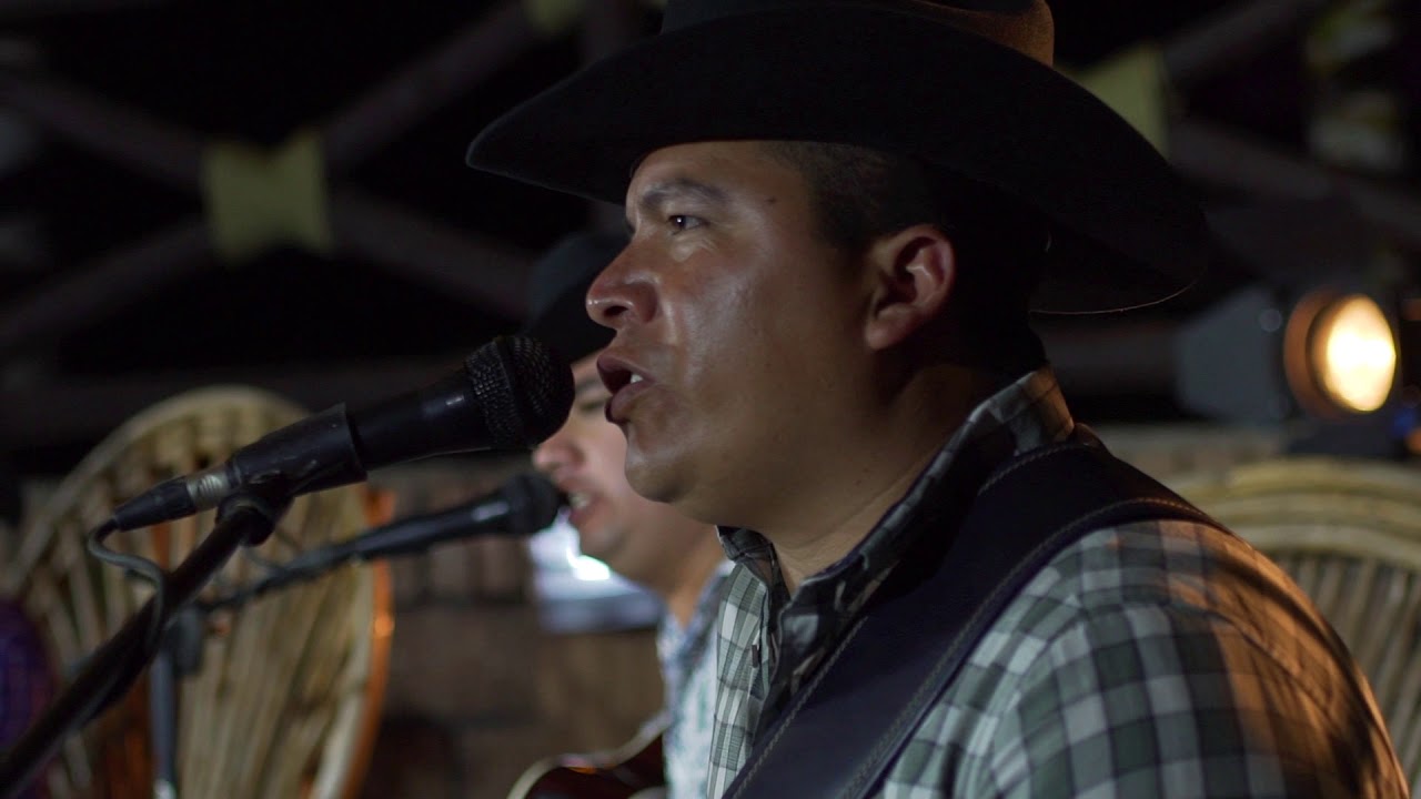 Los Hijos De Sinaloa  - El Doctor (En Vivo)