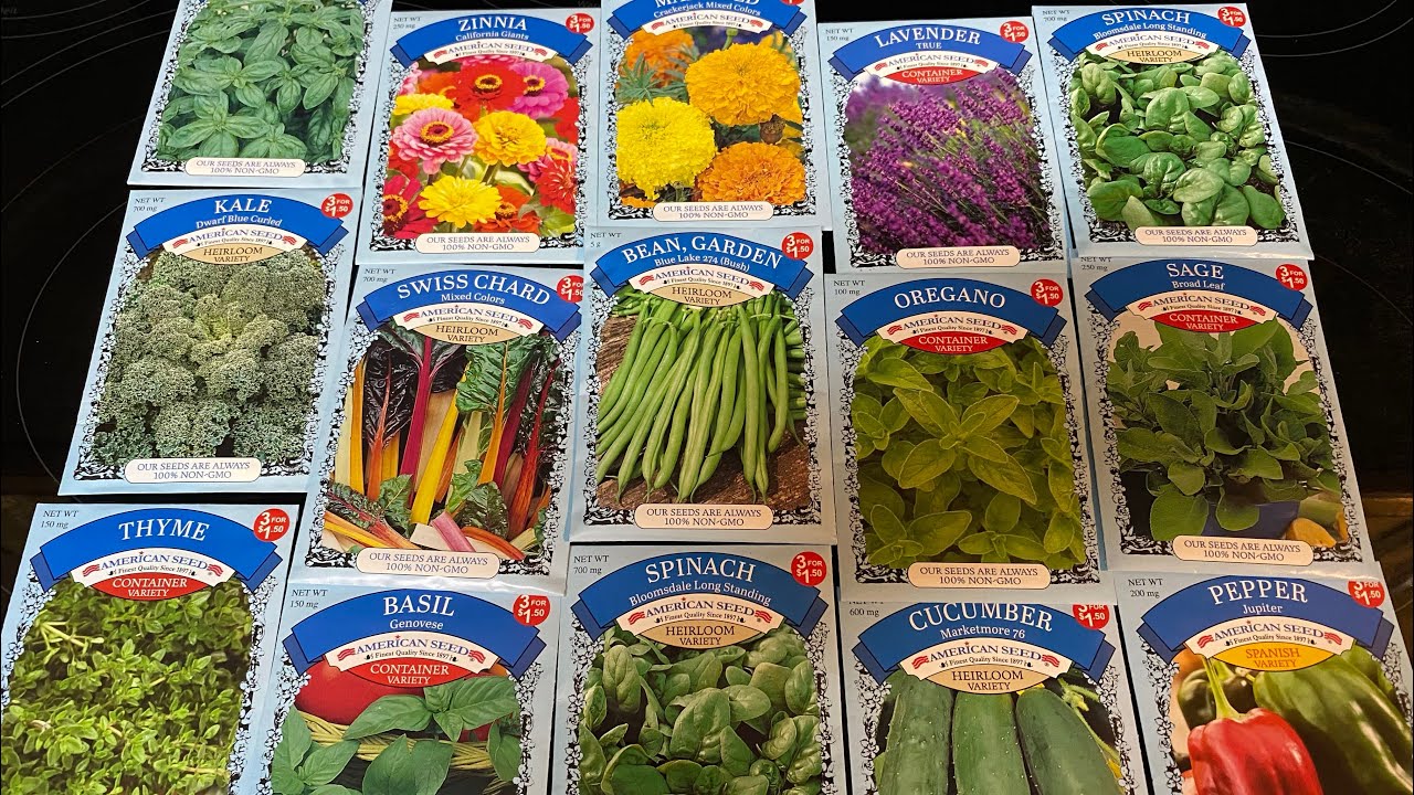 Dollar Tree seed haul - 
