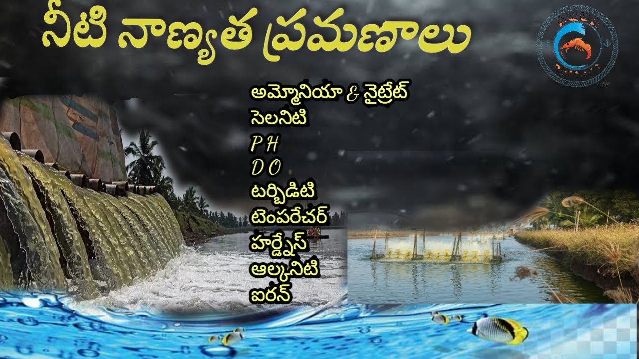 Water parameters telugu in vanami tank, వనామి చెరువు నీటి నాణ్యత, royyala cheruvu ,@ vanami culture