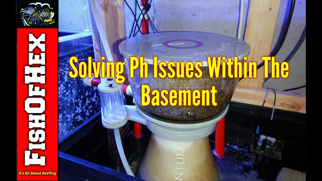 Solving Ph Issues Within The Basement | Fish Room Setup Part 6