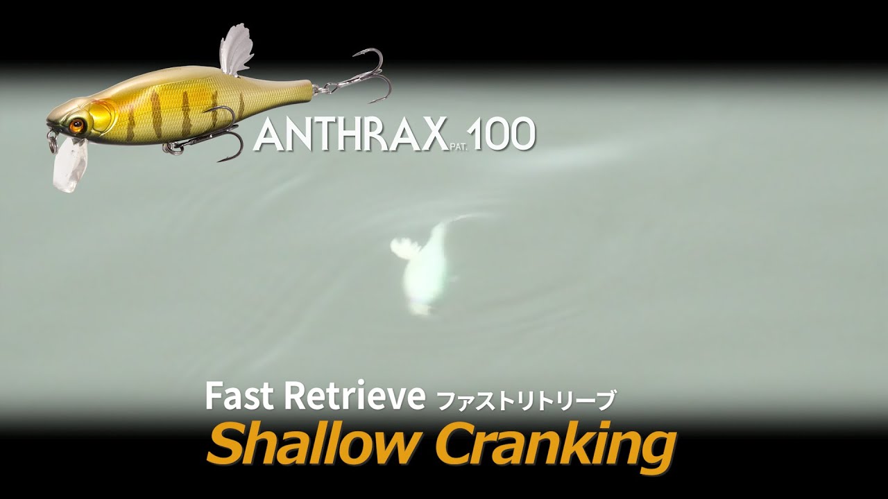 【ANTHRAX】Shallow Cranking（Fast Retrieve）