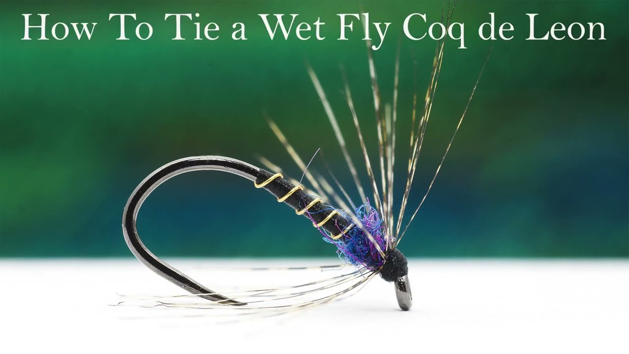 How to tie a Wet fly with Coq de Leon  barbs