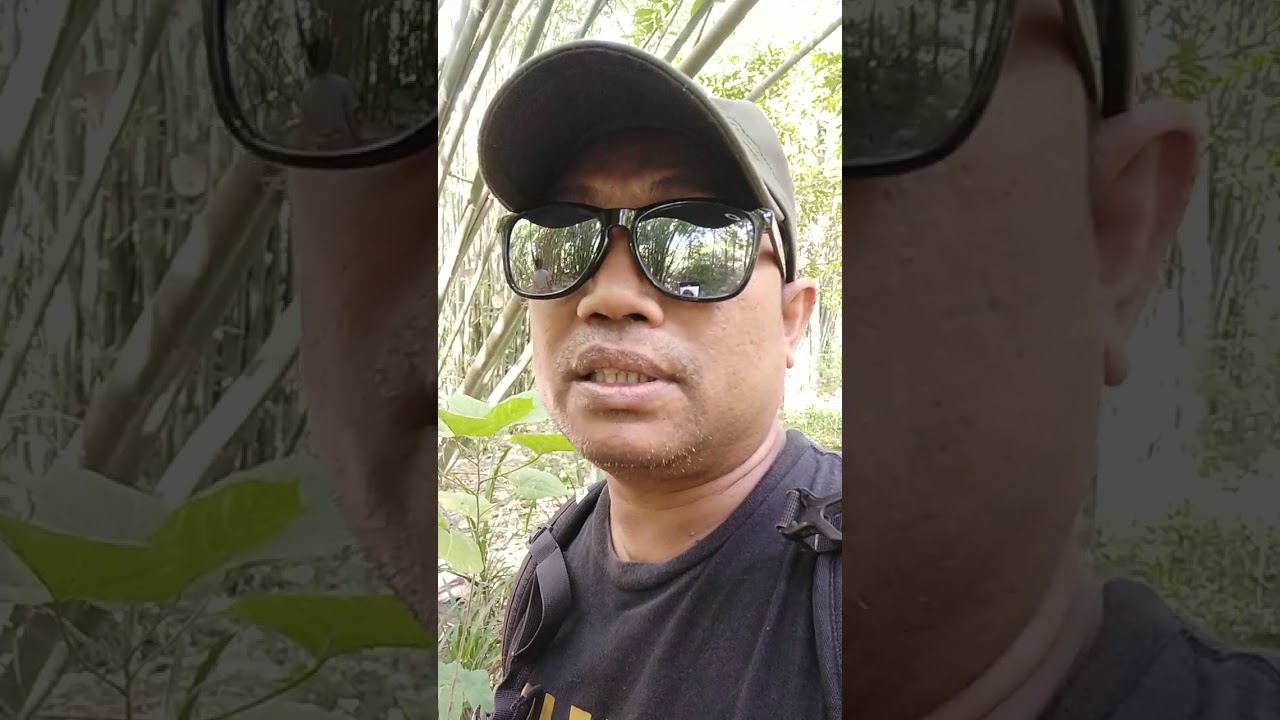 Bag.4 Berburu BAMBU MISTIS BLABUR DAO yang legendaris
