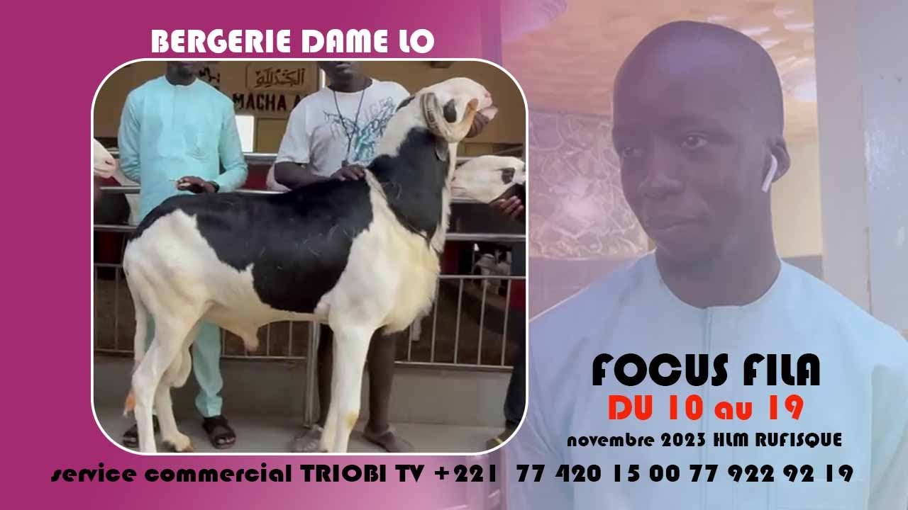 BERGERIE DAME LO