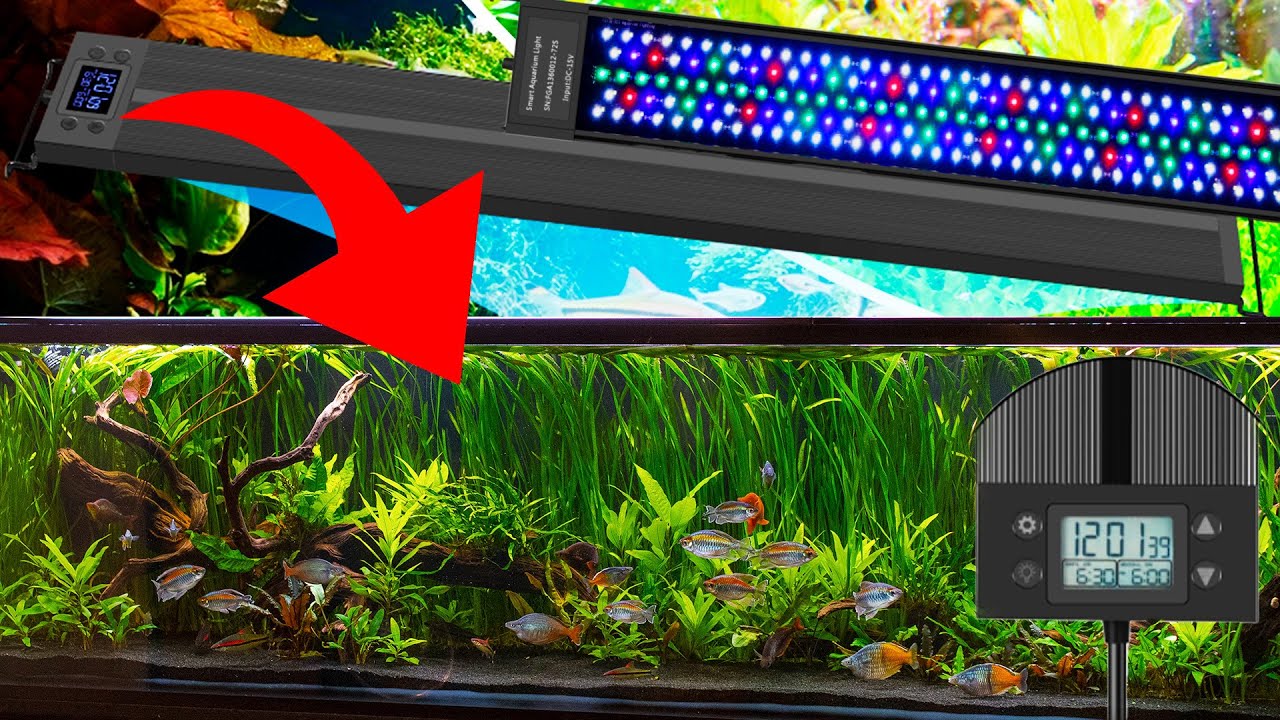 Las LÁMPARAS WRGB que uso en mi PLANTADO | Accesibles y con muchas funciones interesantes