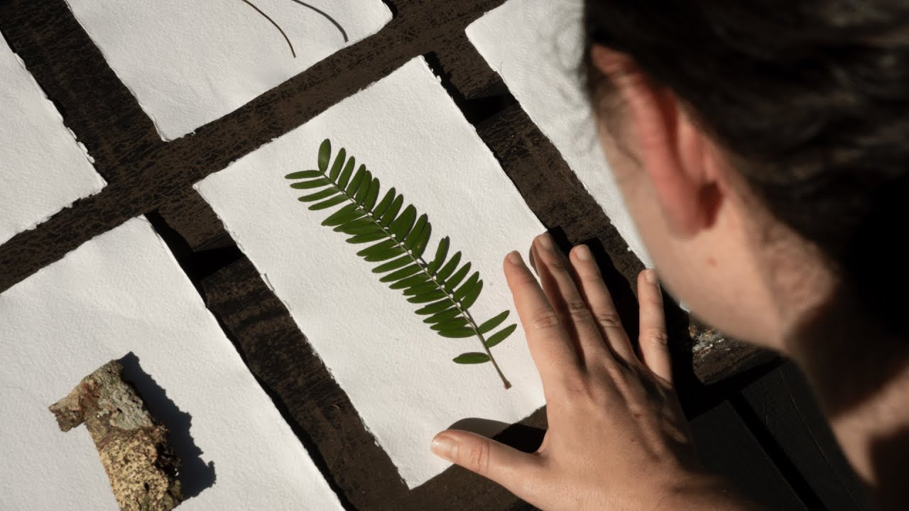 Awasi Artist Immersion x Luiza Guidi - 
