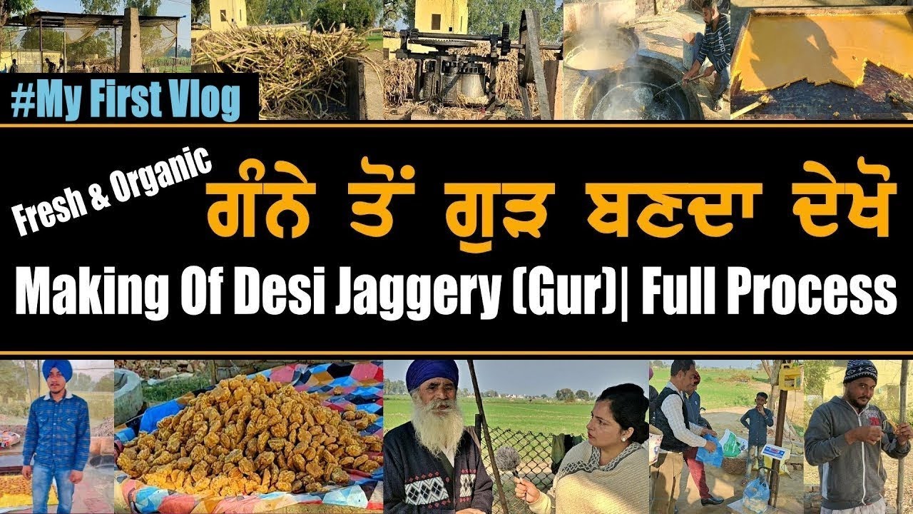 Desi Organic Gur | Jaggery Making | Real Panjab