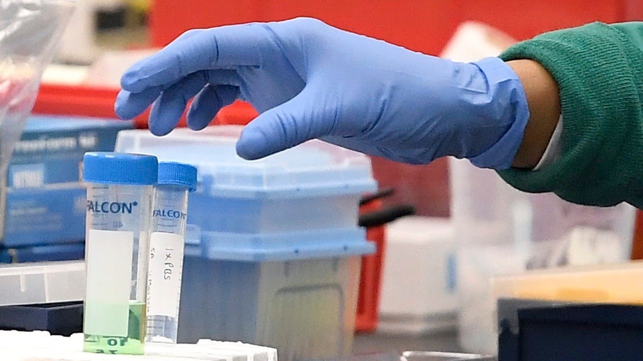 Possible coronavirus vaccine at a 'pivotal point'