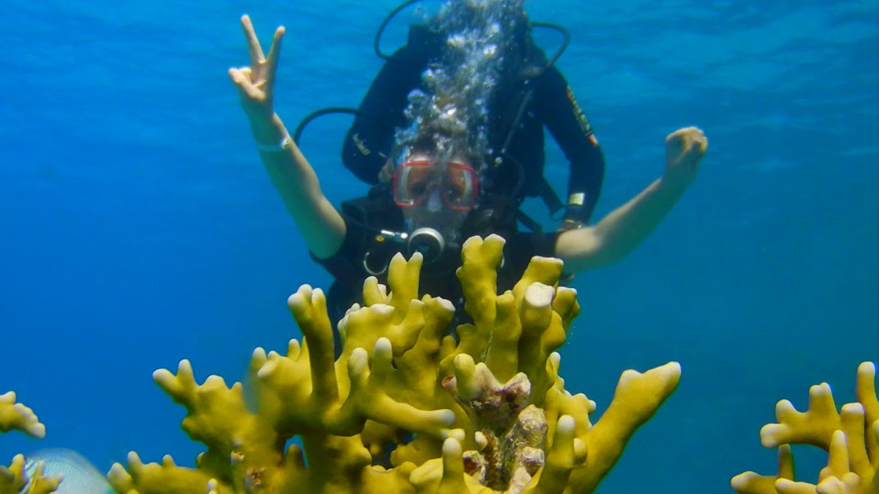 Straits of Tiran