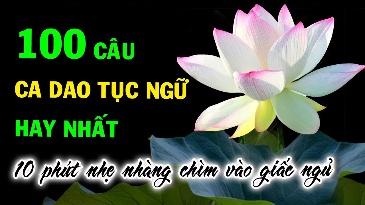 100 Câu Ca dao tục ngữ mang đậm Triết lý nhân sinh - Nghe 10 phút nhẹ nhàng chìm vào giấc ngủ