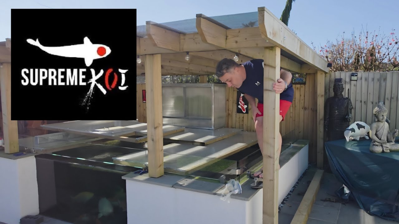 KOI KEEPING RELAXING YEAH RIGHT 🙈#freegiveaway #koi ##koikeeping #bottomdrain