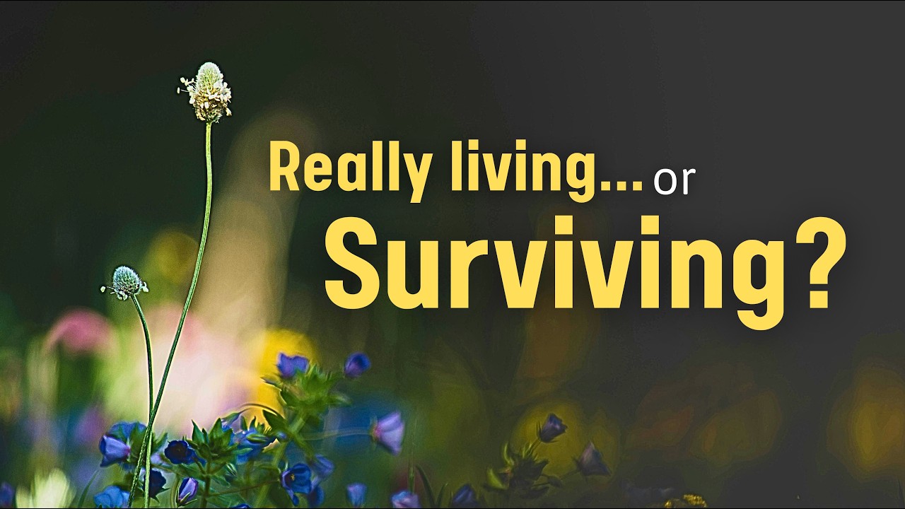 Are You Really Living, or Just Surviving?