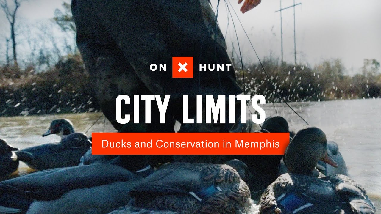 City Limits: Duck Hunting & Wetland Conservation in Memphis, Tennessee | onX Access & Stewardship