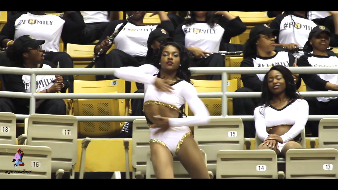 Alabama State Stingettes 