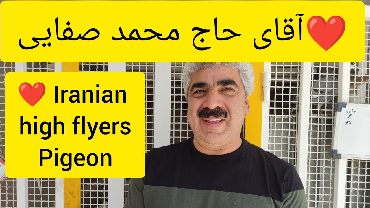 ❤️ مصاحبه با آقای حاج محمد صفایی از تهران Iranian high flyers pigeon