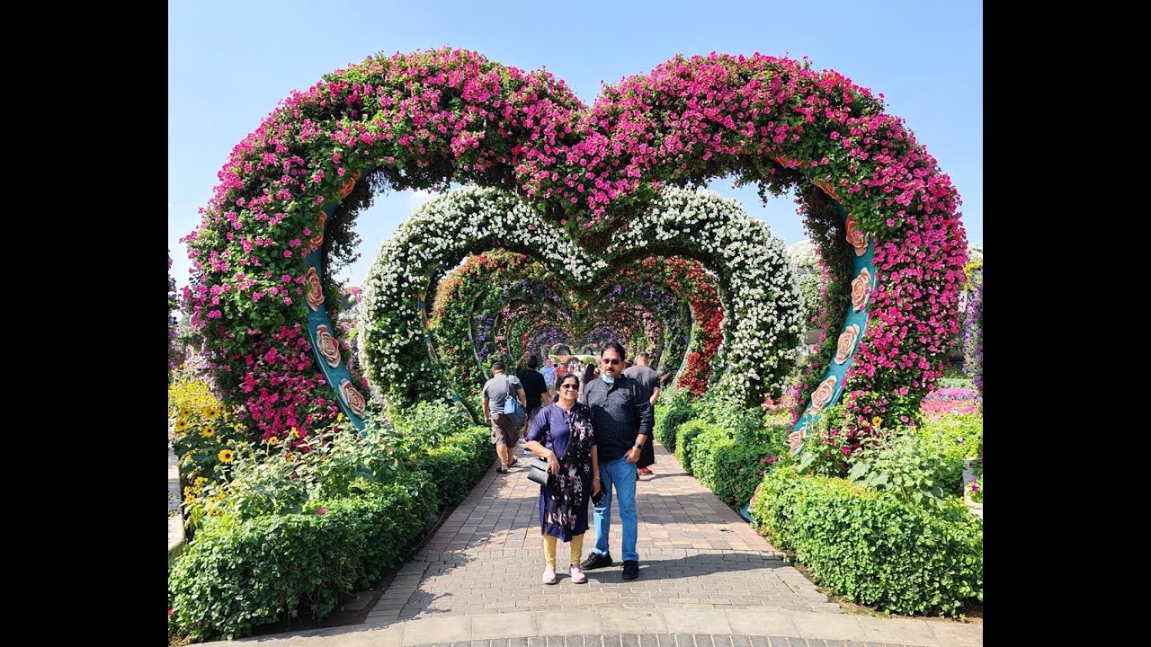 Dubai Miracle Garden - Feb 2024 : Sugi's