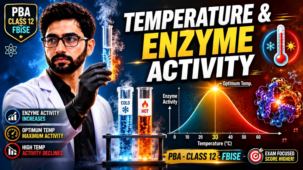 Practical Based Assessment ( PBA ) Class 12 Biology FBISE | Effect of Temperature On Enzyme Activity