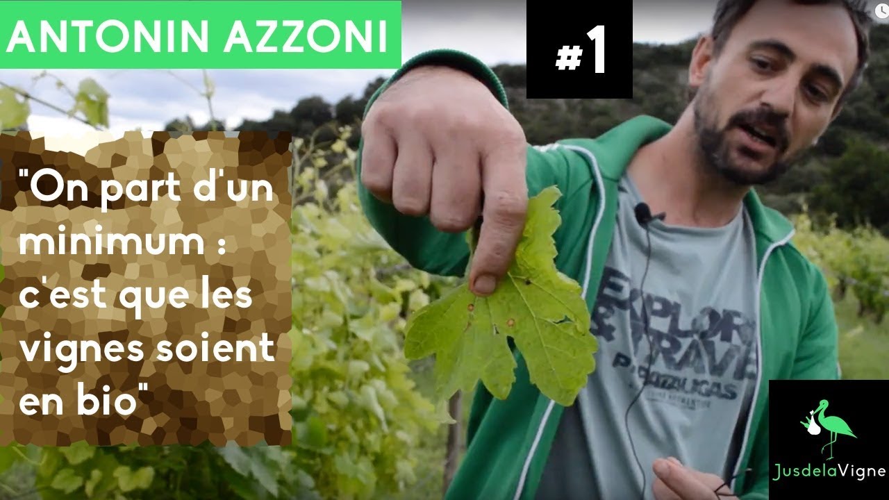 Antonin Azzoni - #1 Dans les Vignes