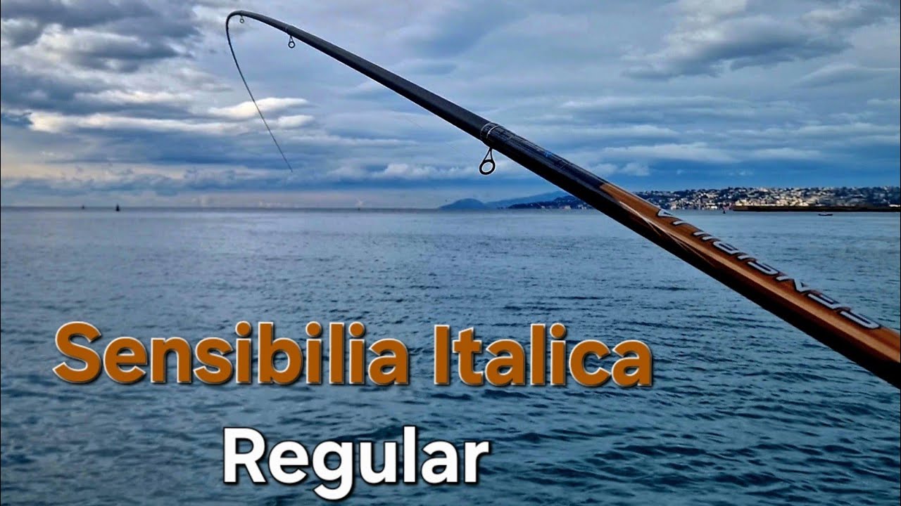Bolognese Sensibilia Italica - Prima pescata!