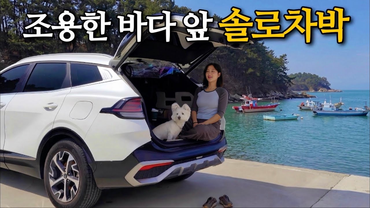 여자 혼자 아무도 없는 바다 앞 차박캠핑🚗 차량개조 없이 순정 스포티지 차박 / 서해 차박 / 서천 캠핑 / 애견동반 캠핑